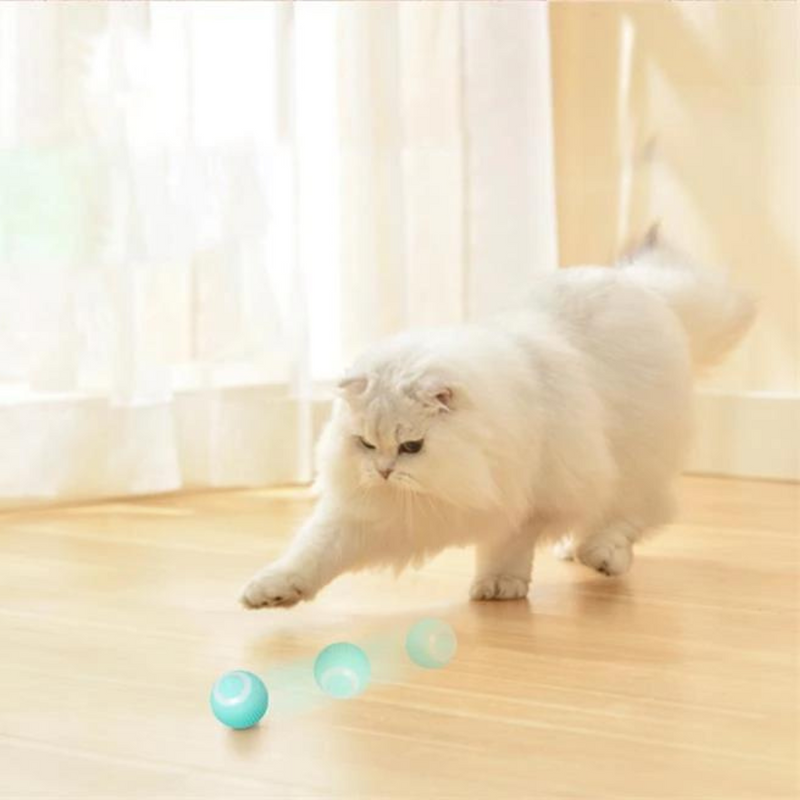 Brinquedo bola Inteligente SmartBall Move - Exercício e Alegria