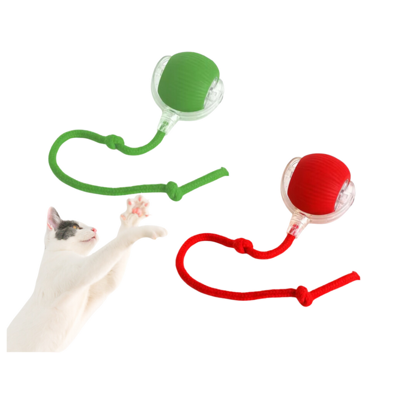 Bola de Caça HuntBall - Exercício e Bem-Estar