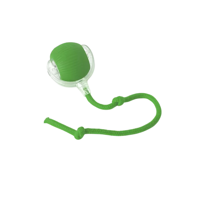 Bola de Caça HuntBall - Exercício e Bem-Estar