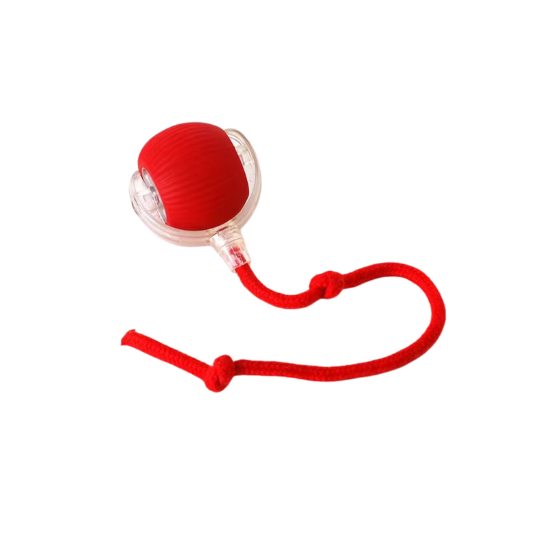 Bola de Caça HuntBall - Exercício e Bem-Estar
